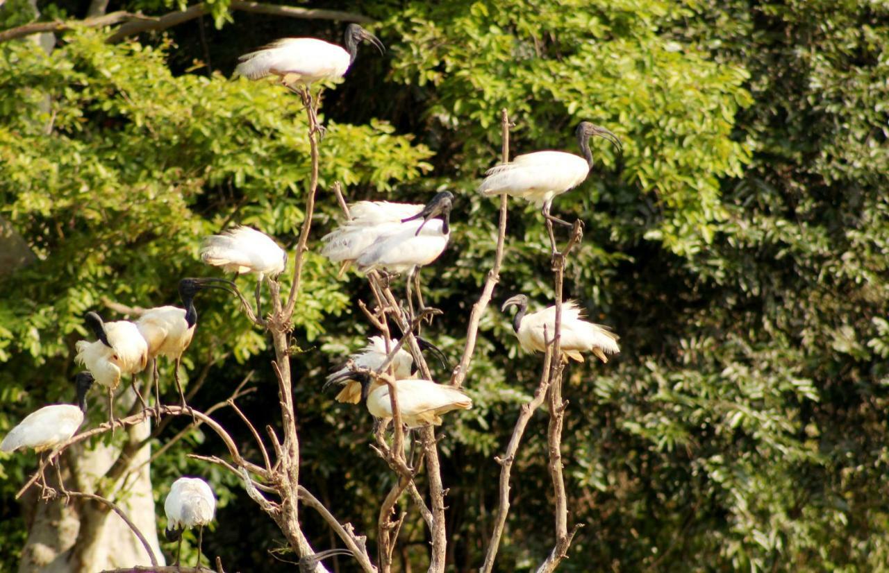 Wasgamu Safari Lodge Wasgamuwa Eksteriør bilde