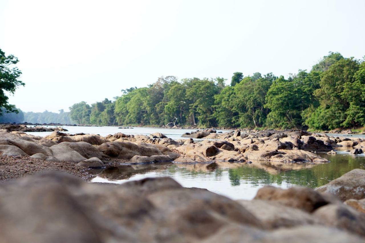 Wasgamu Safari Lodge Wasgamuwa Eksteriør bilde