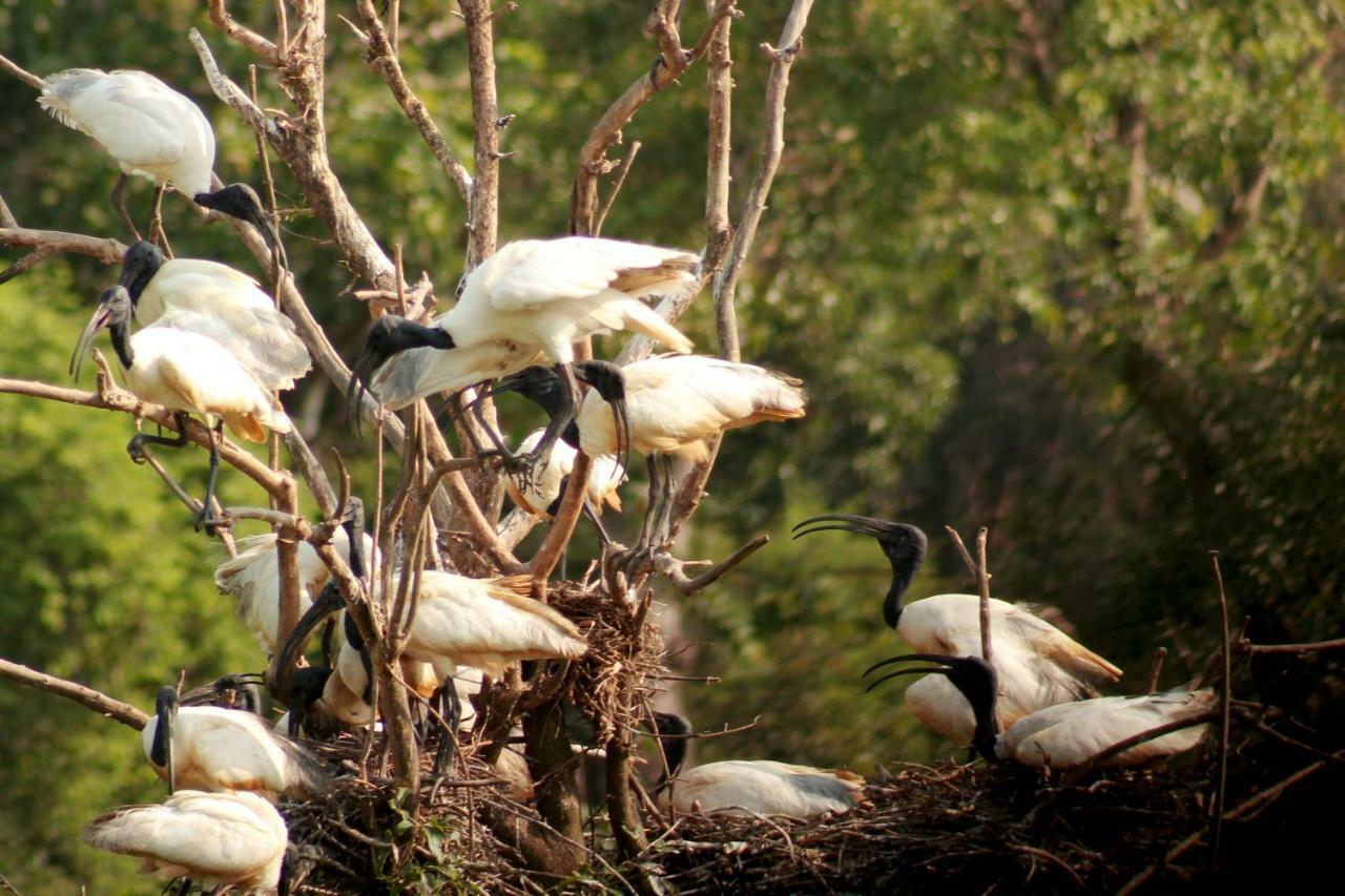 Wasgamu Safari Lodge Wasgamuwa Eksteriør bilde