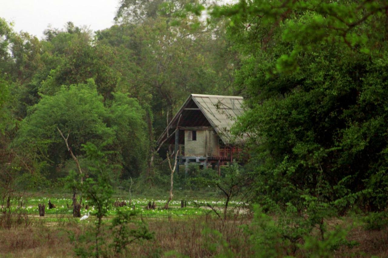 Wasgamu Safari Lodge Wasgamuwa Eksteriør bilde