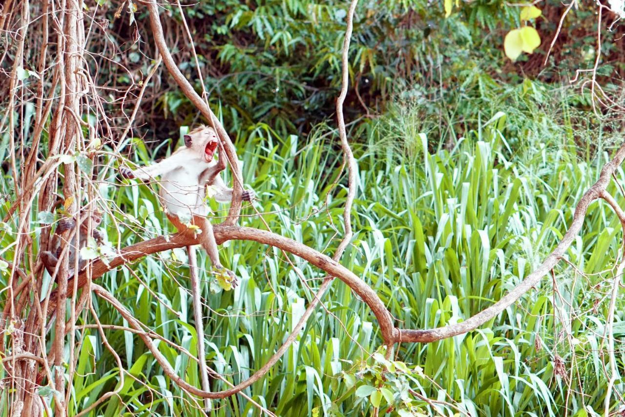 Wasgamu Safari Lodge Wasgamuwa Eksteriør bilde