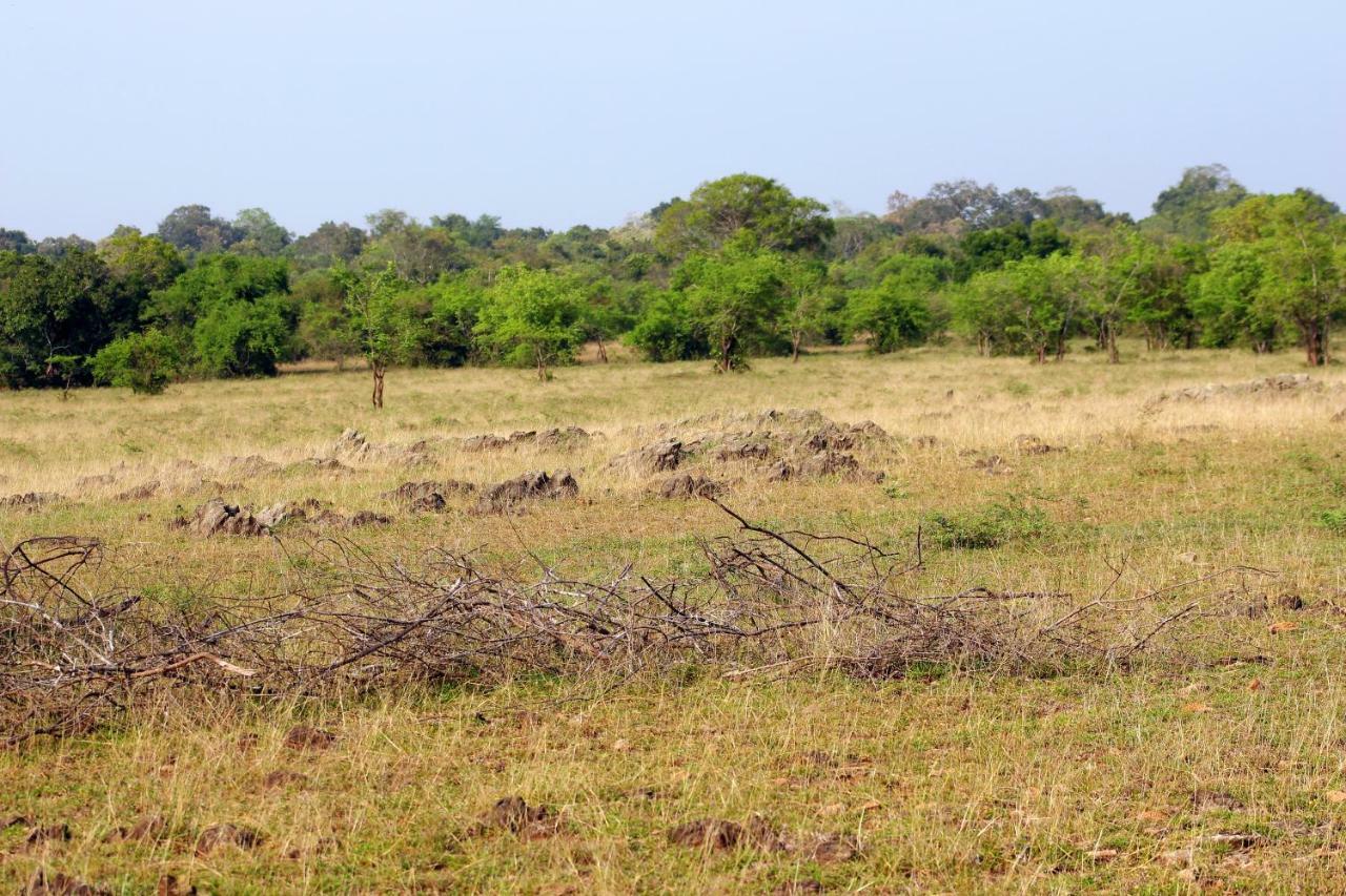 Wasgamu Safari Lodge Wasgamuwa Eksteriør bilde